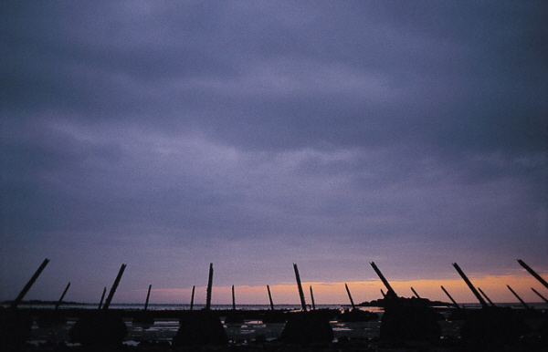 비무장지대(DMZ)와 민통선, 그리고 강화도를 소재로 한 이시우작가의 사진작품들이 오는 5일 기독교대한감리회 새홍성교회(담임목사 유요열)에서 전시된다.
이시우 작가는 사진작가로서의 예리한 눈빛, 냉전의 분단의식을 극복하려는 평화운동가로 역사인식과 열망, 통일기행 길잡이로서의 자상함과 따뜻함, 그리고 깊은 사색으로 많은 이들을 감동시키며 창작활동의 외길을 걸어왔다.
대전충남평통사 홍성모임의 주최로 열리는 이번 전시회는 DMZ와 민통선을 둘러싼 분단의 비극과 고달팠던 한반도의 현대사와 마주하면서 평화와 통일을 향한 이시우 작가의 신념과 열정을 느낄 수 있는 소중한 시간이 될 것으로 기대된다.
전시회에 관한 궁금한 사항은 새홍성교회(633-9722)로 문의하면 된다.