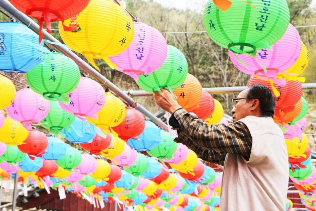 오는 17일 석가탄신일을 앞두고 지난 1일 홍성 용봉사 한 관계자가 연등에 소원지를 달고 있다.