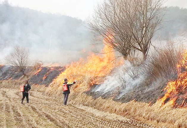 금마면 의용소방대는 지난 25일 봄철 산불방지를 위해 월암리, 봉서리, 인산리 등 산림 연접지역을 비롯한 취약 지역을 중심으로 취약지구의 논․밭두렁 등지에서 공동소각을 실시했다.