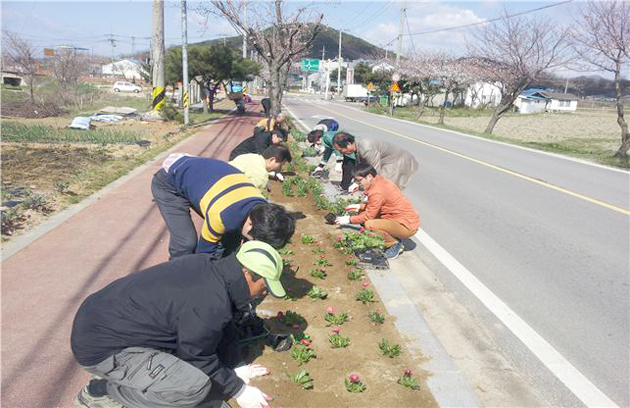 구항면(면장 장의남)은 식목일을 맞아 면사무소 앞에 설치되어 있는 공적비 주변 정비와 가로수 아래 양귀비꽃 등 4종 2000본을 식재해 아름다운 홍성 만들기에 앞장섰다.