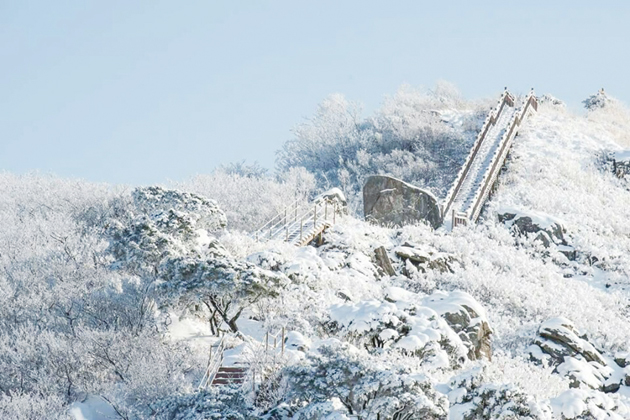 가을철 은빛 물결 억새풀로 사람들의 마음을 사로잡던 오서산에 눈꽃이 만개했다. 지난 25일, 온통 흰 눈으로 뒤덮인 오서산 등산로의 풍경이 눈부시다.<사진제공=조남존 학예사>