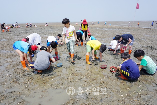 【서부】  지난 9일 서부면 속동전망대에 평택 모산초등학교 관계자 및 학생 200여명이 찾아와 직접 갯벌에서 호미로 조개를 캐는 등 갯벌을 체험했다. 이 날 학생들의 안전한 체험을 위해 소방관계자 3명을 비롯한 전문안전요원 10여명이 함께했다.