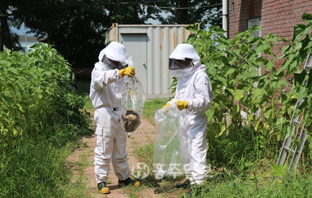 홍성소방서(서장 김근제)는 추석을 맞아 벌초와 성묘에 나서는 군민들에게 야외활동 시 향수나 스프레이 등 강한 냄새가 나는 물품 사용을 자제하고 화려한 옷을 피하라고 당부했다.