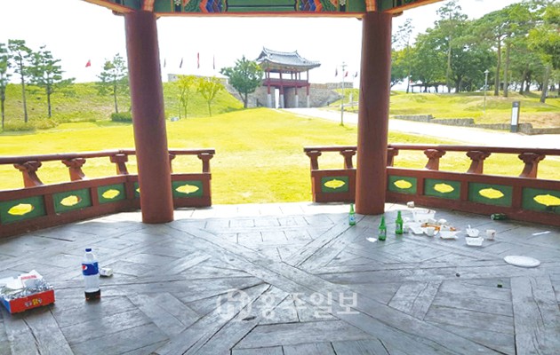 홍주성 남문인 홍화문 인근에 위치한 홍주정에서 술과 음식을 먹고 쓰레기를 방치한 모습이 지난 11일 포착됐다. 특히 이러한 사례는 복원된 남문 홍화문에서도 자주 발견되고 있어 군민들의 우려를 사고 있다. 홍화문의 경우 매우 높아 음주를 한 취객이 떨어져 다칠 염려가 있고, 담배를 피울 경우 문화재에 불씨가 옮겨 붙어 화재의 염려까지 제기되는 상황이다. 한 주민은 “주말 저녁 무렵이 되면 문화재에서 술판을 벌이며 음식을 먹는 이들이 종종 발견되고 있다”며 “문화재 보호를 위해 카메라를 설치하거나 감시원을 고용하는 등 군에서 적절한 조치를 취하기 바란다”고 밝혔다.