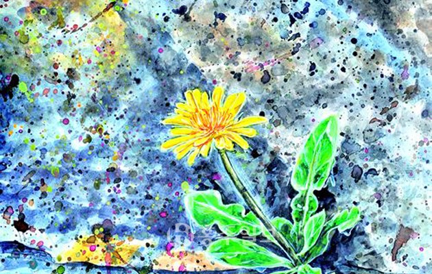 내포창조관광 기반구축사업의 일환으로 열린 ‘2016 야생화 그림 공모전’에서 김우종(삽교고 1) 학생의 ‘나의 소중한 친구 민들레꽃’이 종합대상의 영예를 안았다.