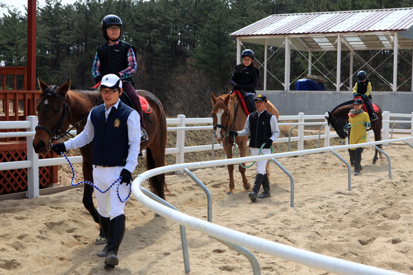 홍성군승마장에서 승마 체험하는 학생들