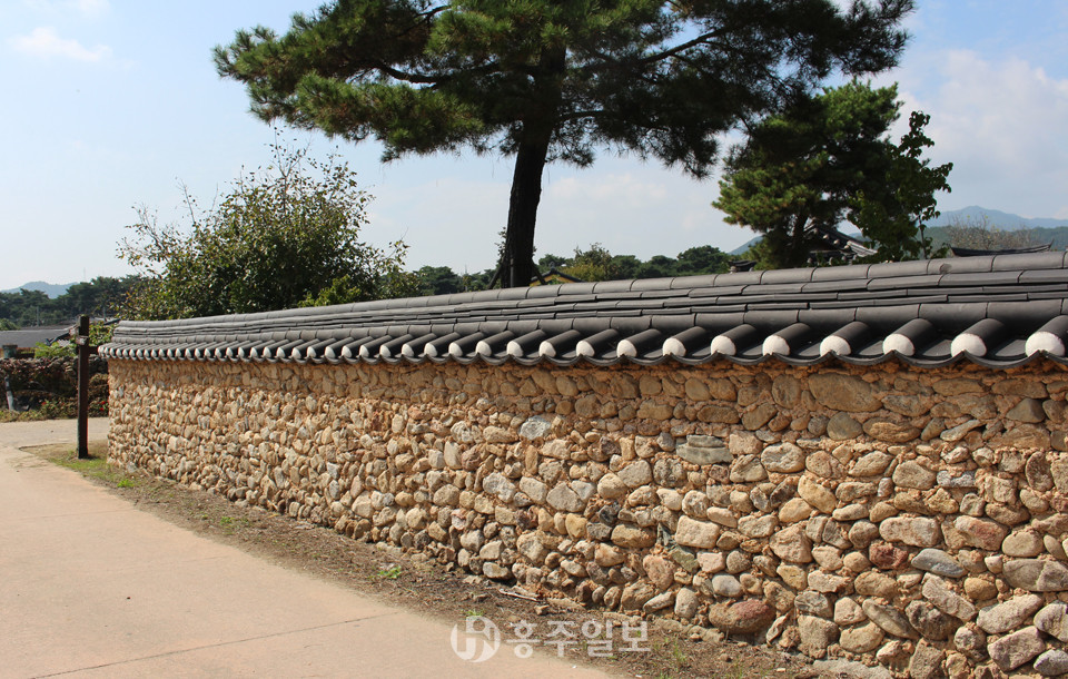 예천 금당실마을의 돌담은 강이나 밭에서 나온 돌로 비교적 높게 쌓아올렸다.