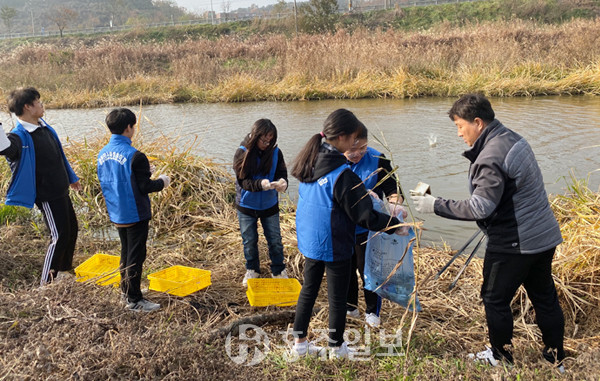 학생들이 직접 만든 EM흙공을 상지천에 던지고 있다. 던져진 EM흙공은 각종 유해물질로 오염된 하천을 살리고, 그곳에서 서식하고 있는 동식물의 생태환경도 회복하는 것으로 알려졌다