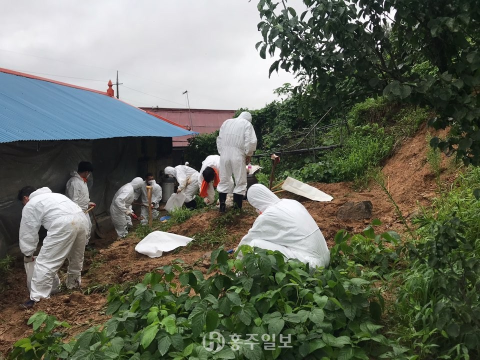 홍북읍에서 재해복구 지원활동을 통해 무너져 내린 토사를 치우고 있다.