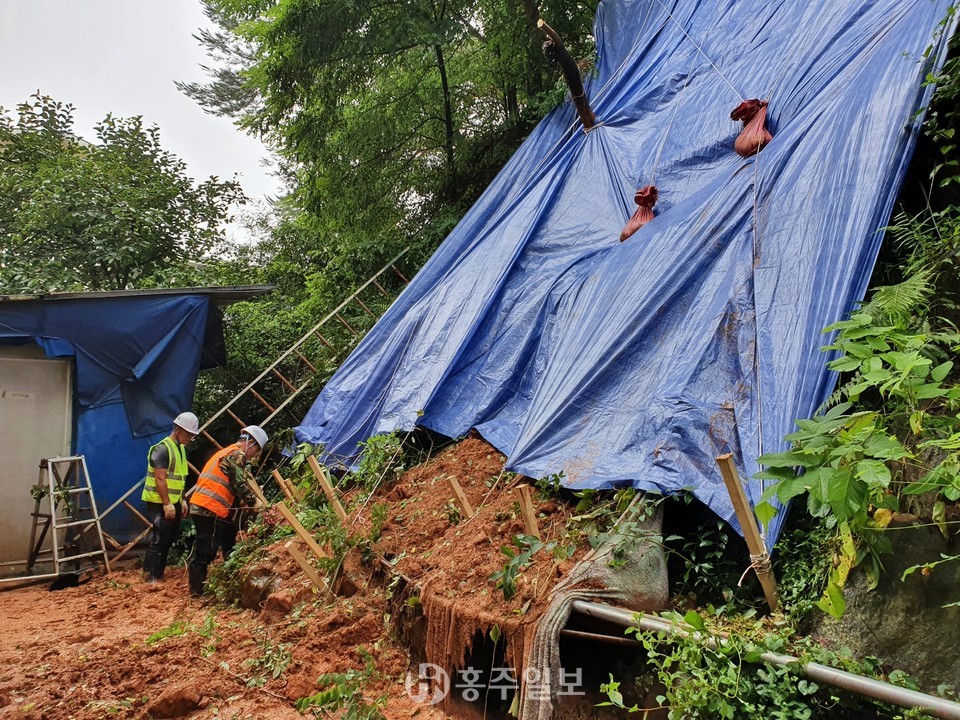 산림재해 스피드 봉사대원들이 경사가 급한 사면 유실지에서 복구 작업이 한창이다.