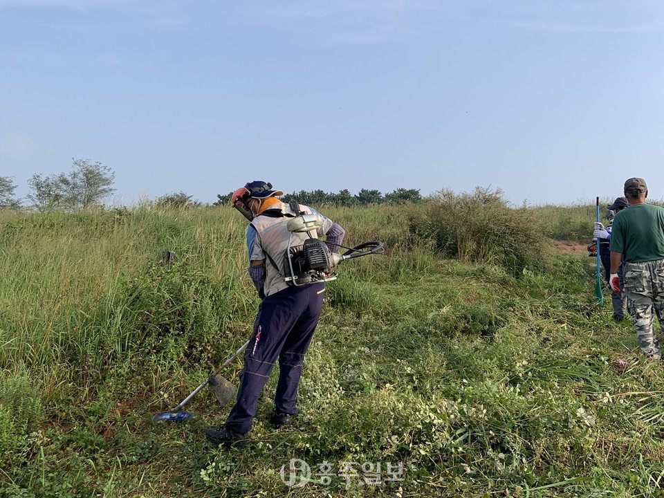 삽교읍에서 무연분묘의 벌초를 진행하고 있다.