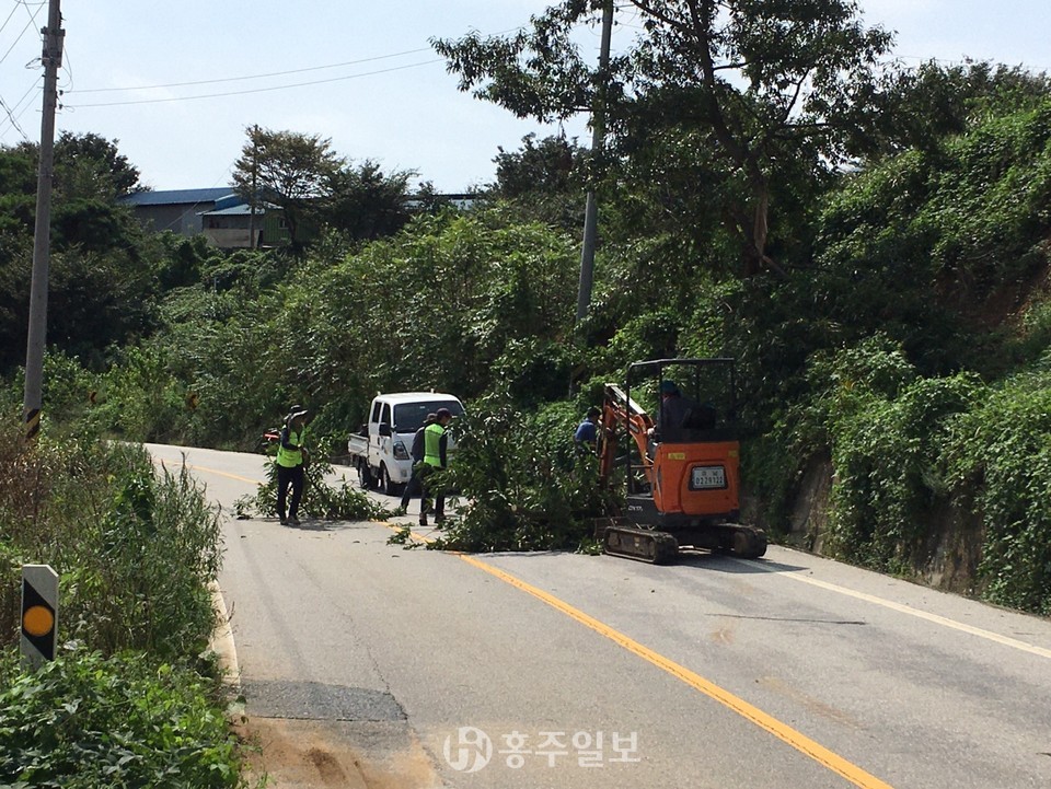 홍동면 운월리에서 도로점검을 통해 차도에 있는 나무를 수거하고 있다.