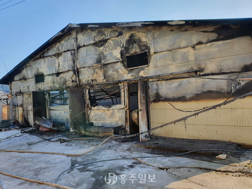 덕실리 돈사의 화재현장.