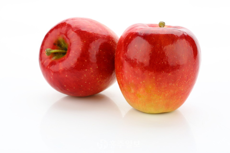 예산군이 새로이 선보이고자 하는 '아리수 사과'.