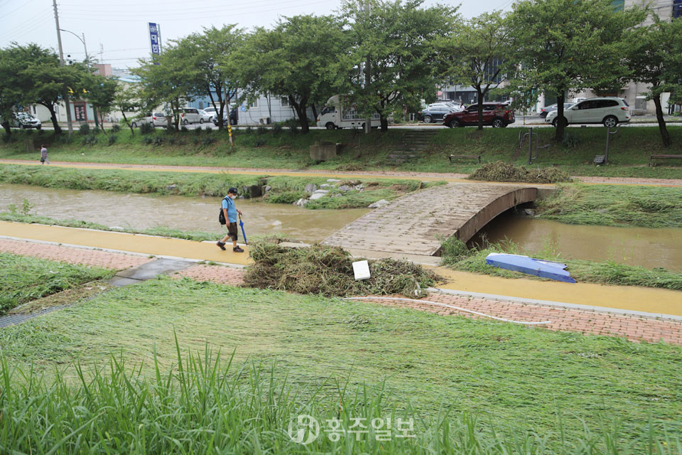 홍성천변 한 방향으로 누워있는 풀과 산책로를 정리해 한 곳에 모아놓은 오물은 간밤 불어났던 물을 짐작할 수 있게 한다.