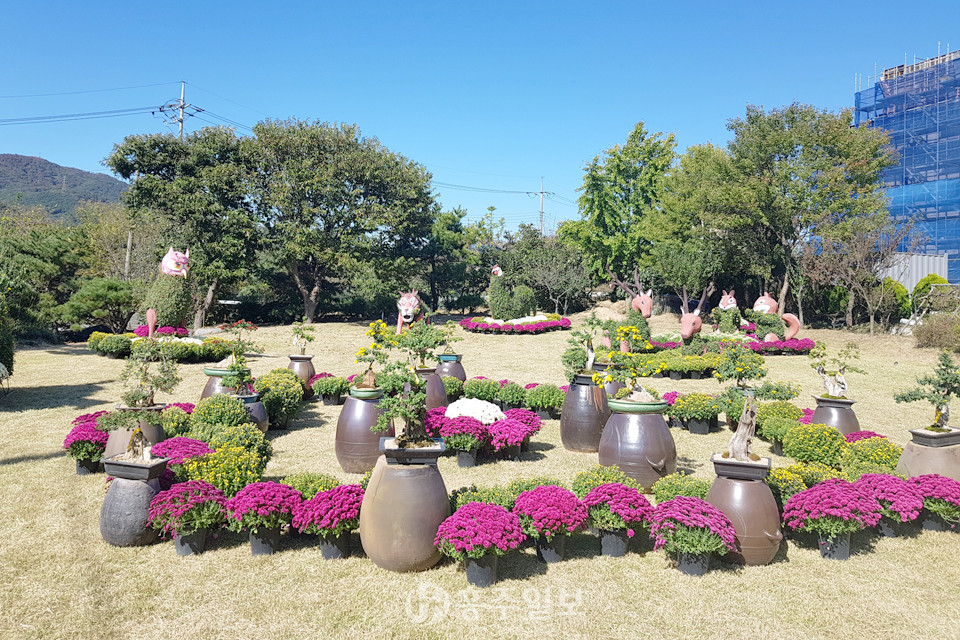 지난해 개최된 국화축제 현장.