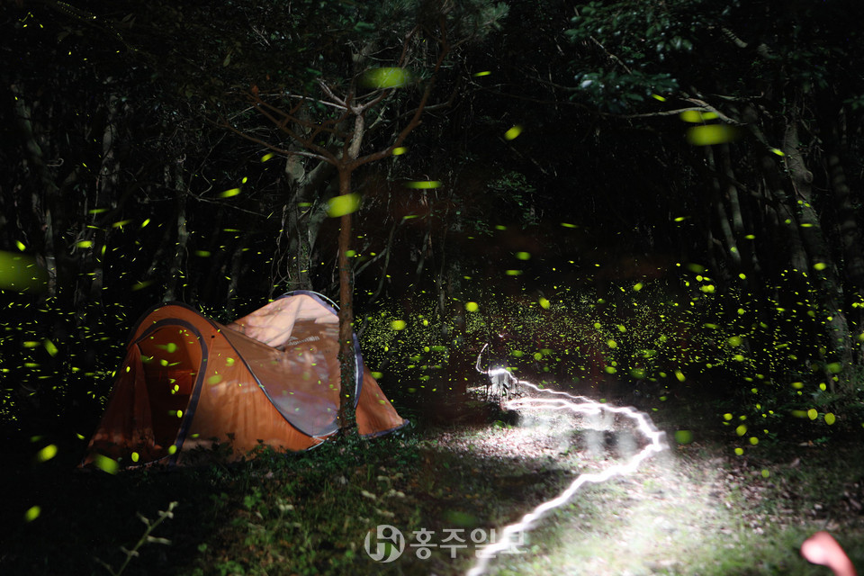 대상에 선정된 최태희 씨의 ‘방치된 텐트’.