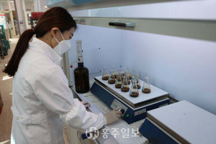 퇴비 부숙도를 검사하는 모습.