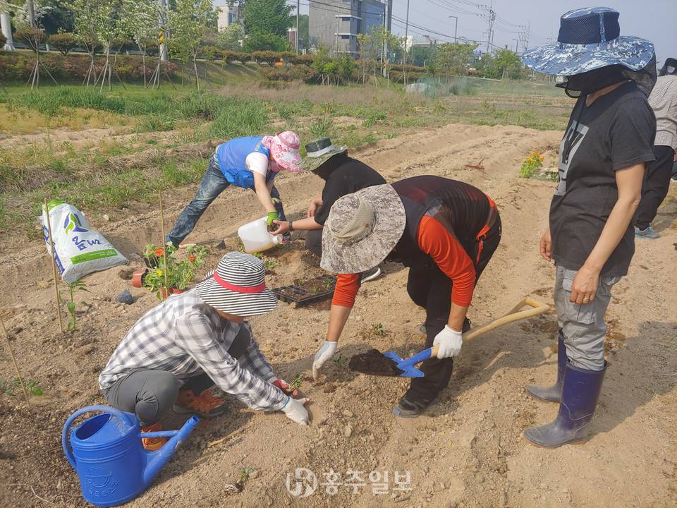 청년농업인 영농체험 현장.