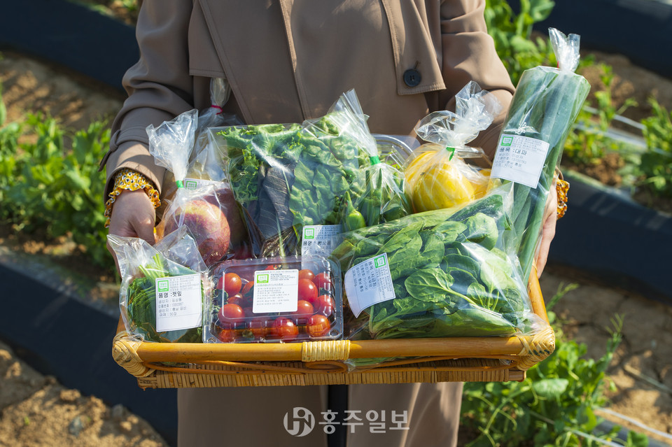 관내에서 생산된 친환경 농산물.