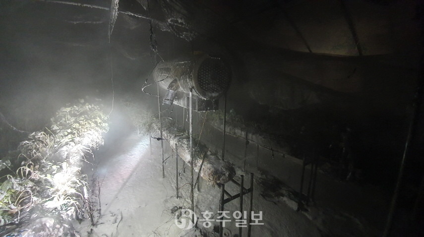 화재가 진압된 딸기재배 비닐하우스의 모습. 이번 화재는 약 300만 원의 재산 피해를 입혔다.