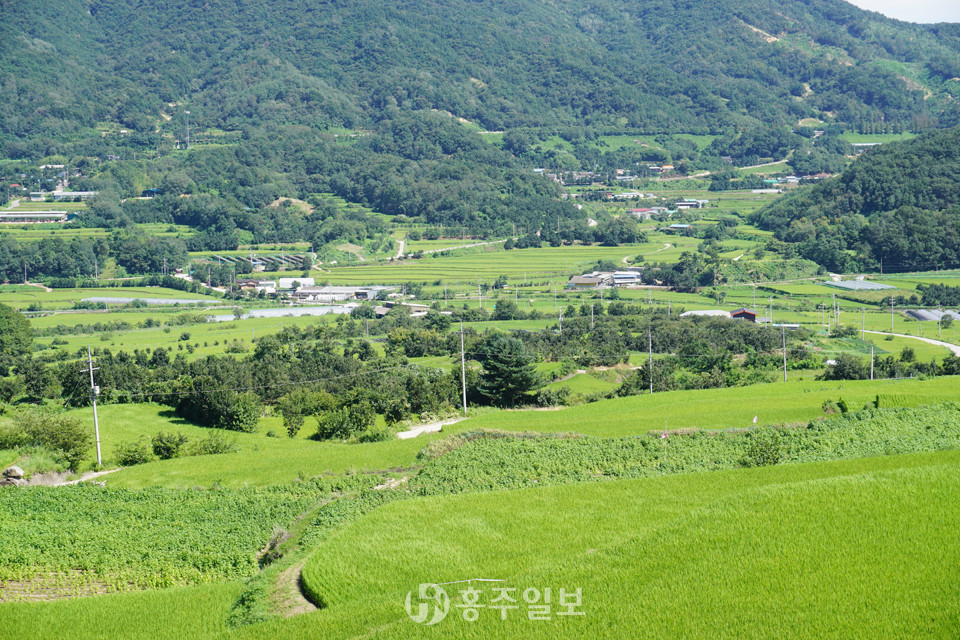 상주 낙동면 갑장산 자락의 다랑이논 전경.