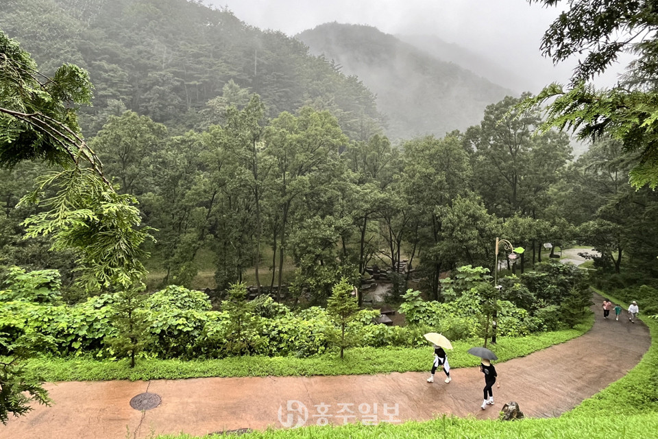 천안 치유의숲.