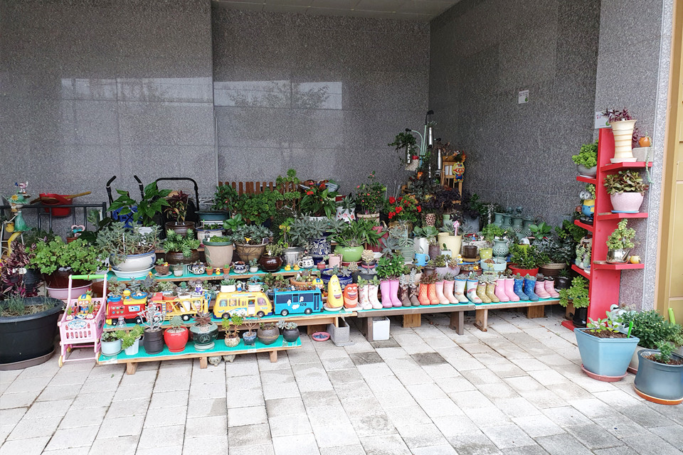 내포신도시 상록아파트 현관앞에 진열된 화분.