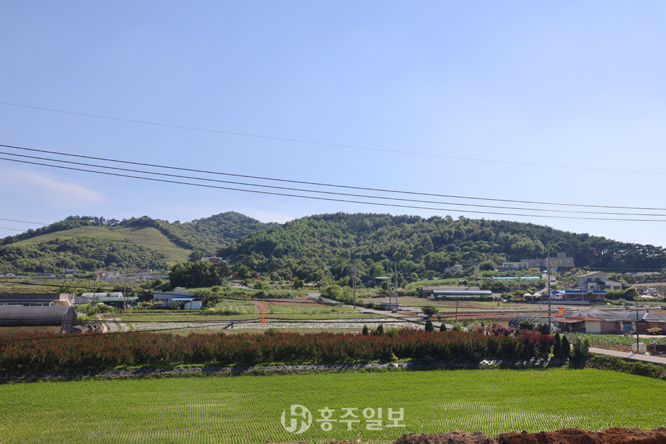 서산 인지면 화수리 매봉재(매현) 일대의 동학농민군 최후의 전투지. 동학농민군은 태안 방면(사진 오른쪽 방향)으로 달아났다.