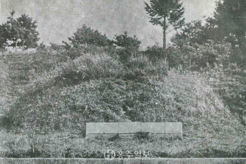 1950년대 홍주의사총.