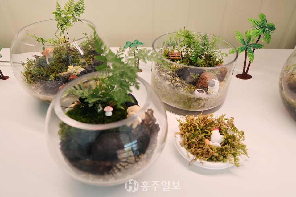 유리 용기에 식물을 재배하는 ‘테라리움’.