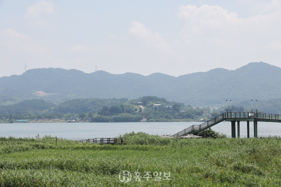 서천 갈대밭 신성나루에서 바라본 건너편의 웅포나루.