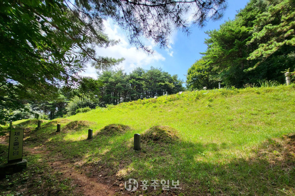 청양 다락골성지 줄무덤 10기.