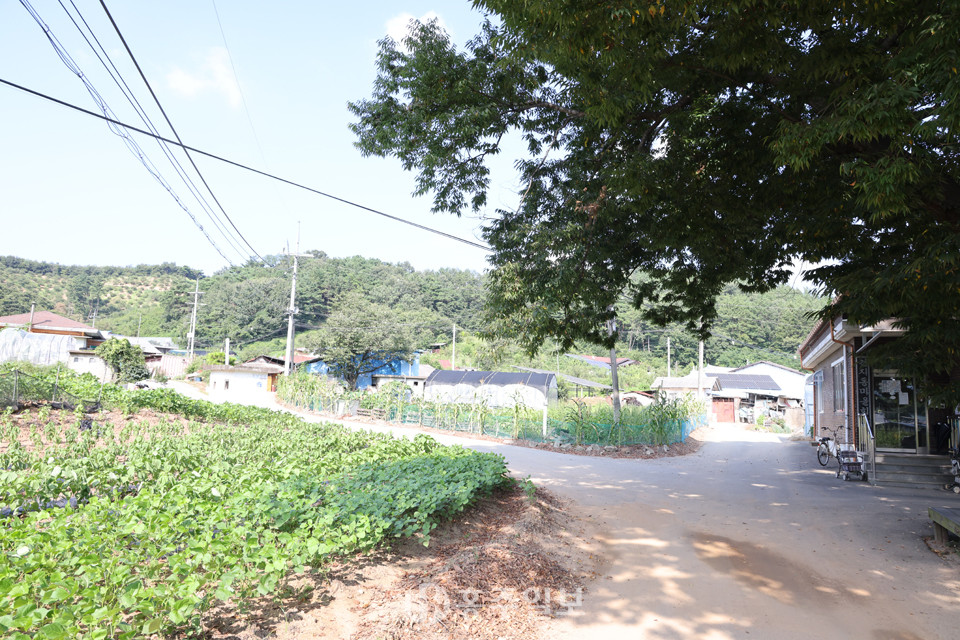 청양의 동학동민혁명은 동학의 소굴로 불린 건지동마을을 중심으로 전개됐다.