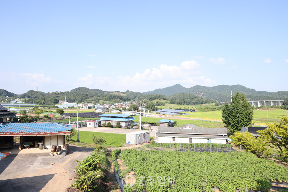 청양 목면시가.