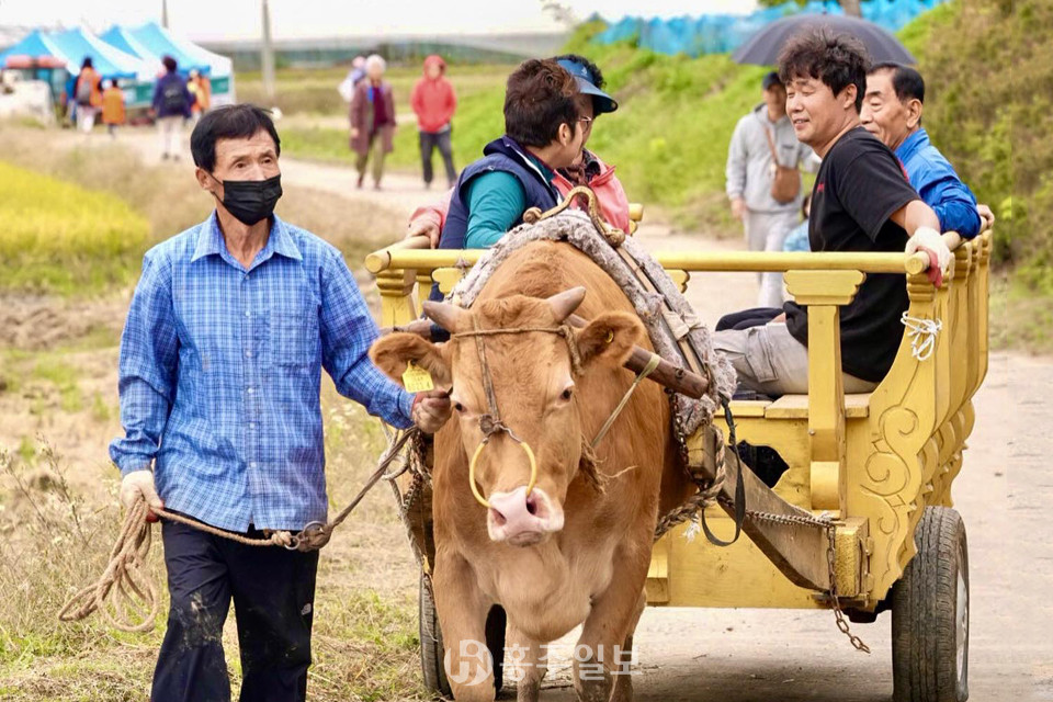 지난해 홍동면 문당환경농업마을 일원에서 열린 가을걷이 유기농 나눔축제 체험 프로그램.