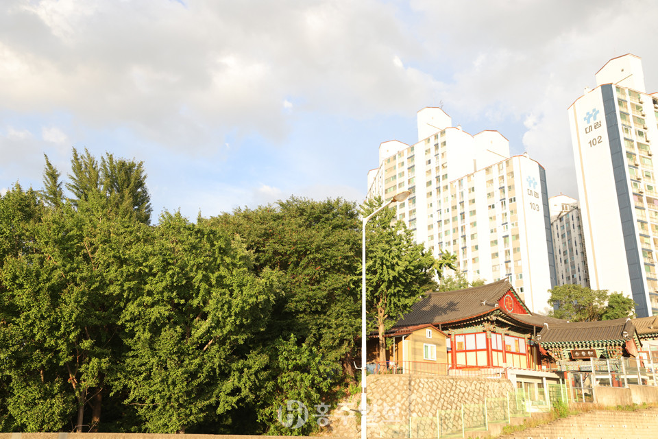 논산 동학농민군 남북접 연합군 집결지, 소토산(대도서터).