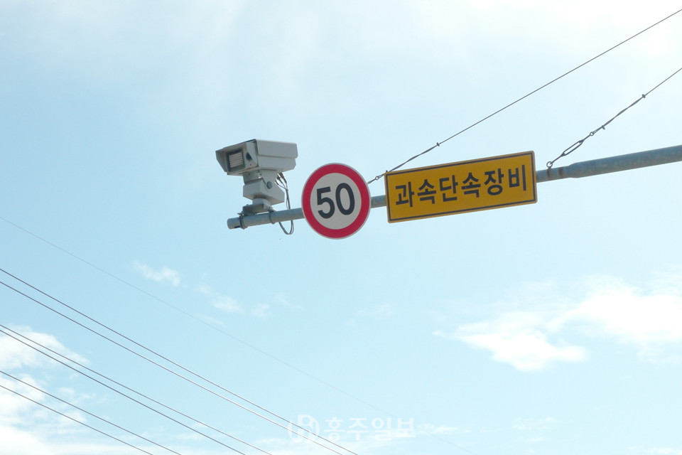 단속카메라.