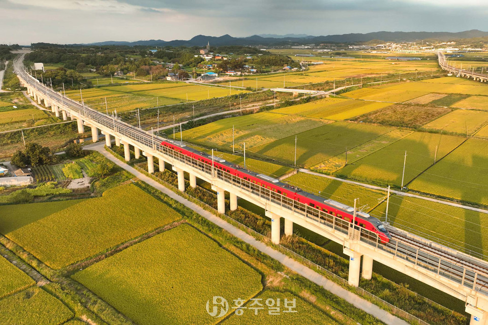 황금 들녘을 달리는 서해선 열차.<br>