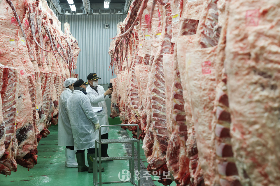 제5회 홍성군 홍성한우 능력평가대회 심사위원들이 올해 최고의 홍성한우를 선정하기 위해 꼼꼼하게 심사를 진행하고 있다.