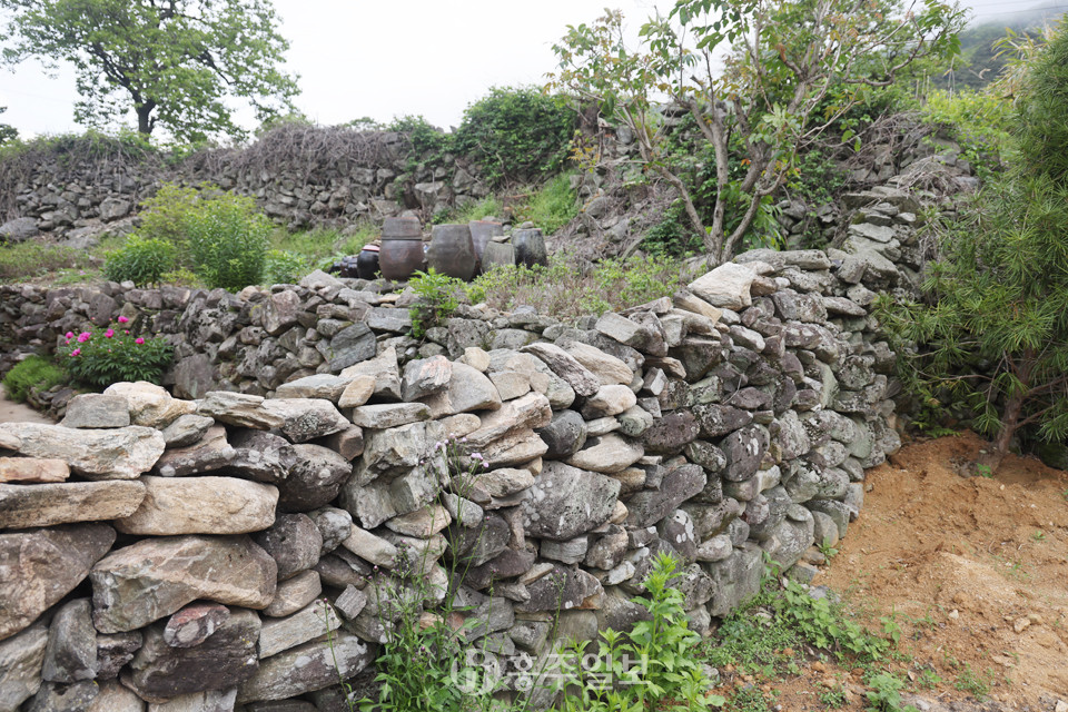 광성3리 마을 돌담은 돌로만 쌓은 강담으로 돌의 모양에 맞춰 차곡차곡 겹담으로 쌓아 올렸다.<br>