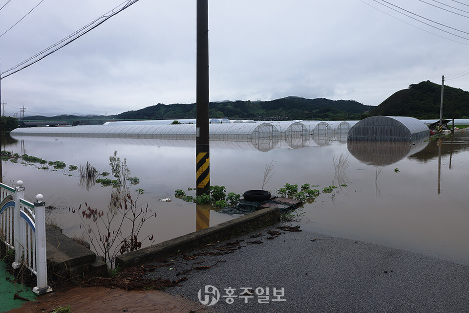 예산군 예산읍 손지리 침수피해 현장.