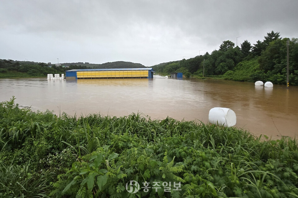 홍성군 갈산면 상촌리 침수피해 현장.