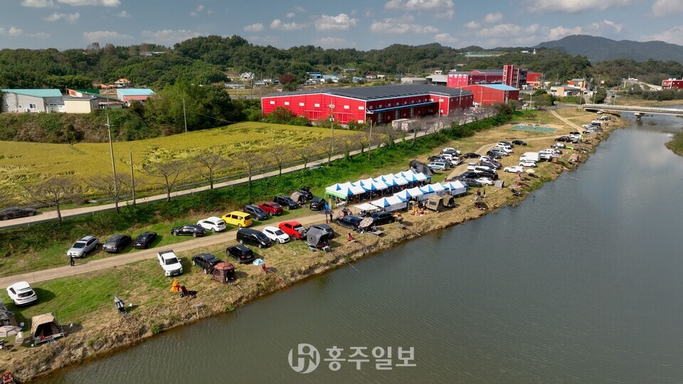 광천천에서 열린 민물 낙시대회 참가자들이 붕어를 낚고 있다.